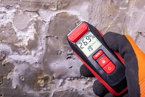 Best Commercial Mold Removal  in Crystal Lake, FL