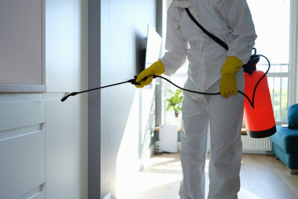 Best Commercial Mold Removal  in Crystal Lake, FL