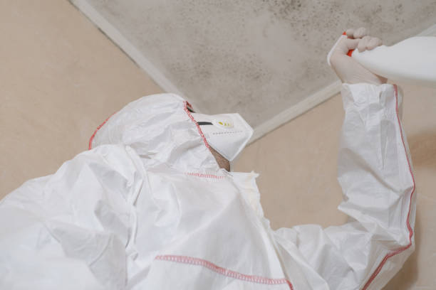 Best Attic Mold Removal  in Crystal Lake, FL