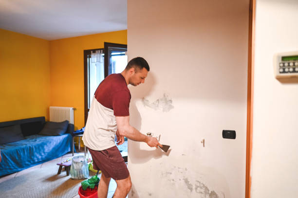 Crystal Lake, FL Mold Removal Company