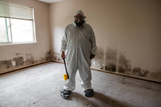 Best Emergency Mold Removal  in Crystal Lake, FL